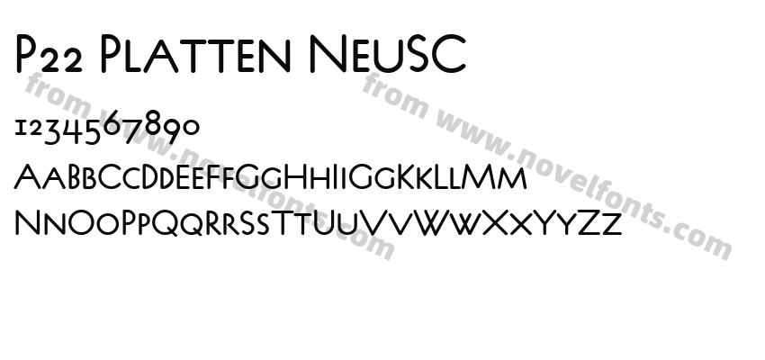 P22 Platten NeuSCPreview