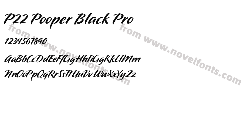 P22 Pooper Black ProPreview