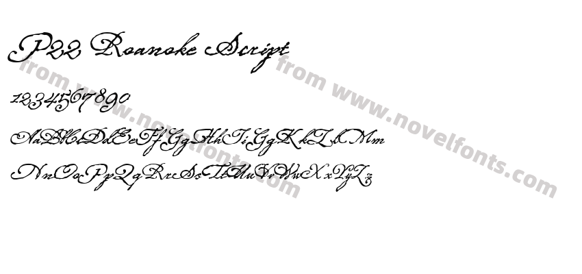P22 Roanoke ScriptPreview