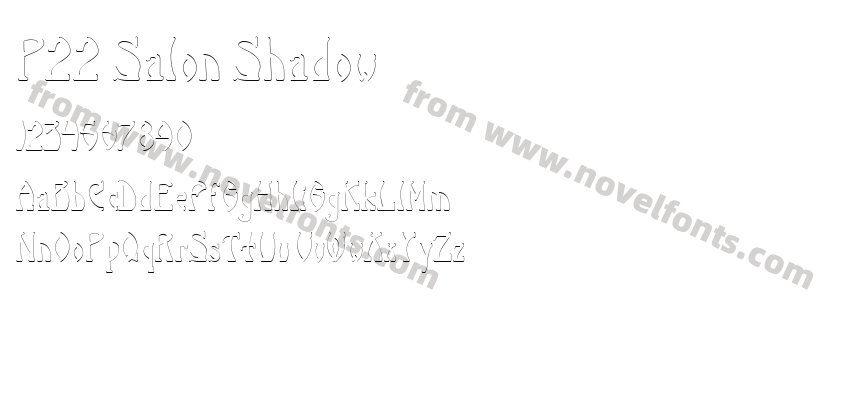 P22 Salon ShadowPreview