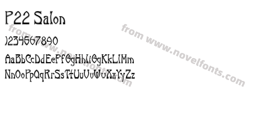 P22 SalonPreview