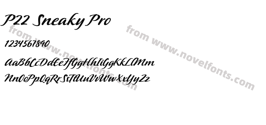 P22 Sneaky ProPreview