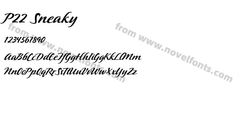 P22 SneakyPreview