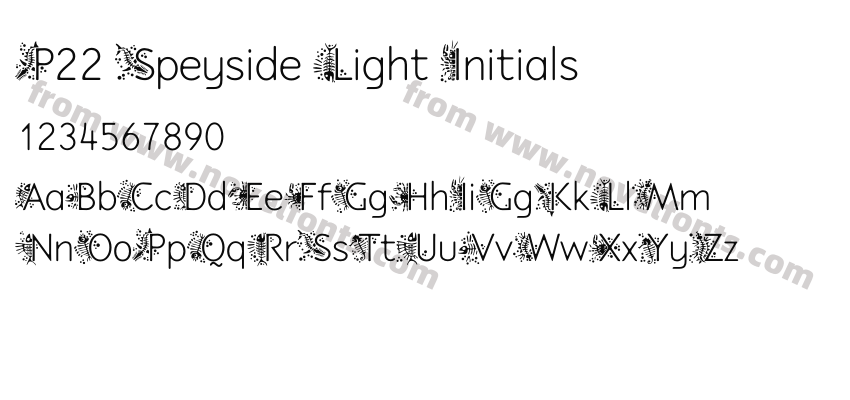 P22 Speyside Light InitialsPreview