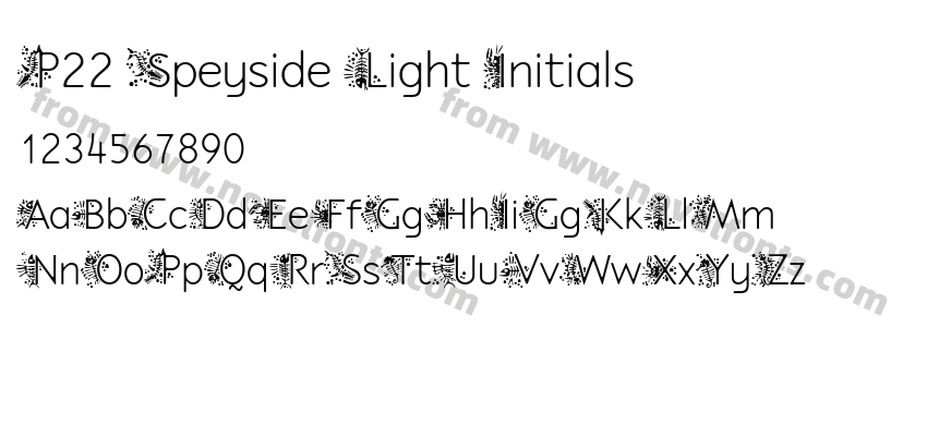 P22 Speyside Light InitialsPreview
