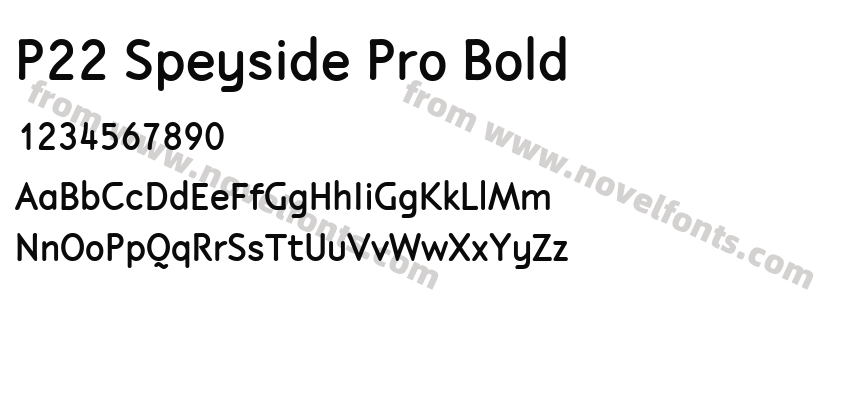 P22 Speyside Pro BoldPreview