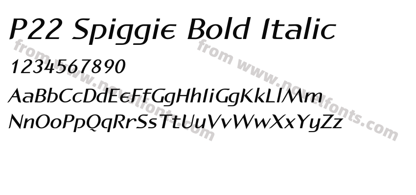 P22 Spiggie Bold ItalicPreview
