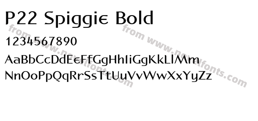P22 Spiggie BoldPreview