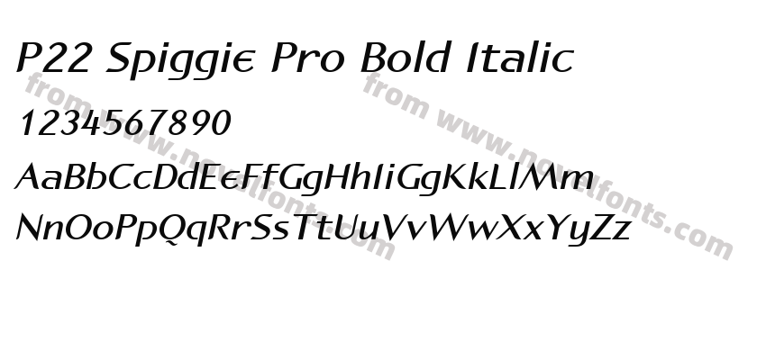 P22 Spiggie Pro Bold ItalicPreview