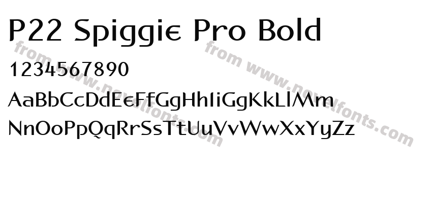 P22 Spiggie Pro BoldPreview