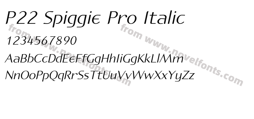P22 Spiggie Pro ItalicPreview
