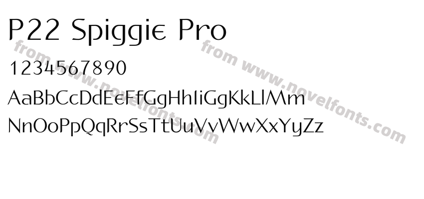 P22 Spiggie ProPreview