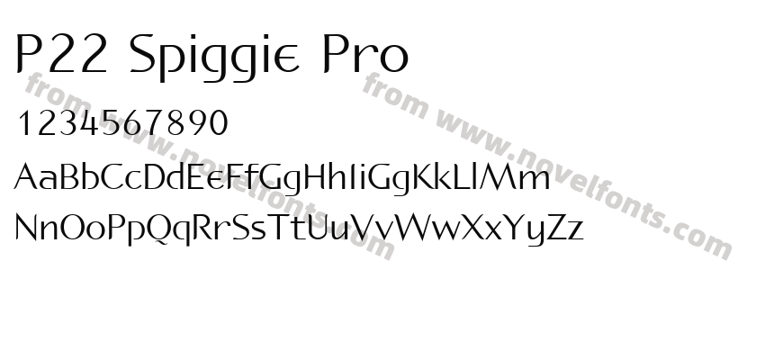 P22 Spiggie ProPreview