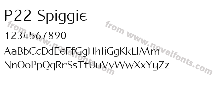 P22 SpiggiePreview