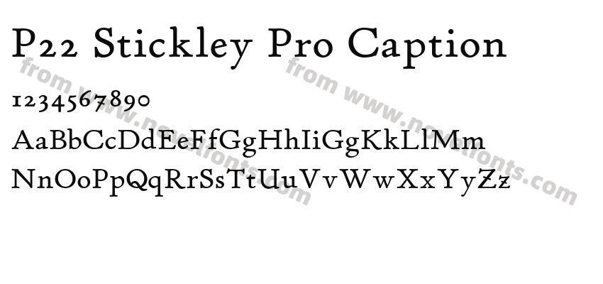 P22 Stickley Pro CaptionPreview