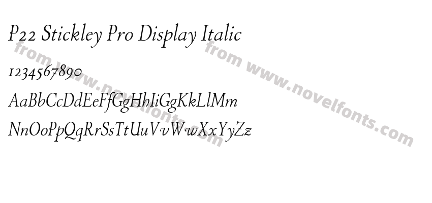P22 Stickley Pro Display ItalicPreview