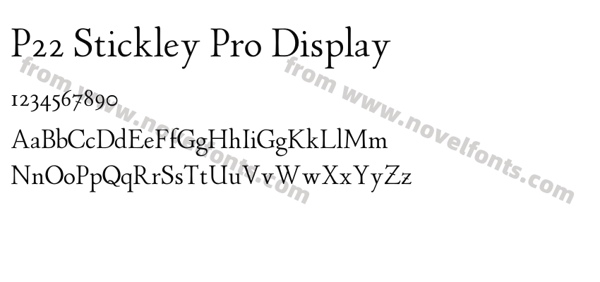 P22 Stickley Pro DisplayPreview