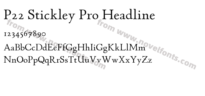 P22 Stickley Pro HeadlinePreview