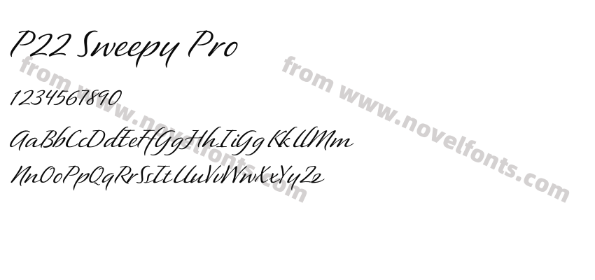 P22 Sweepy ProPreview