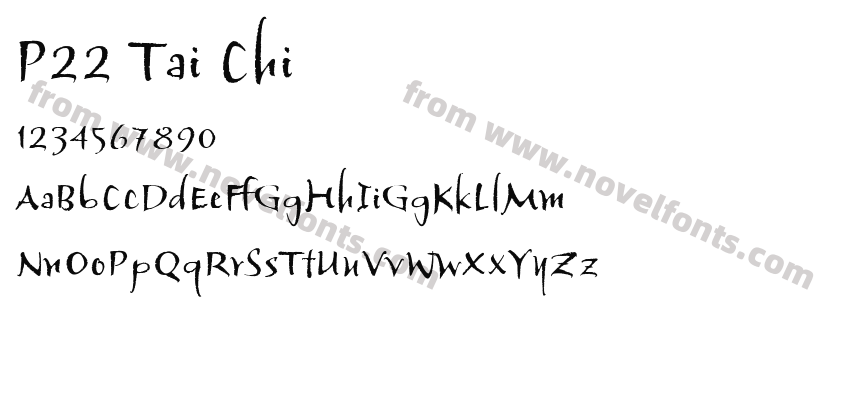 P22 Tai ChiPreview