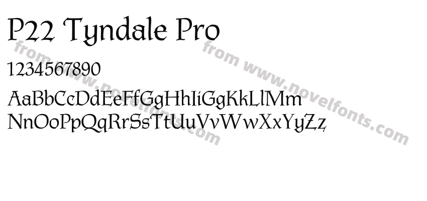P22 Tyndale ProPreview