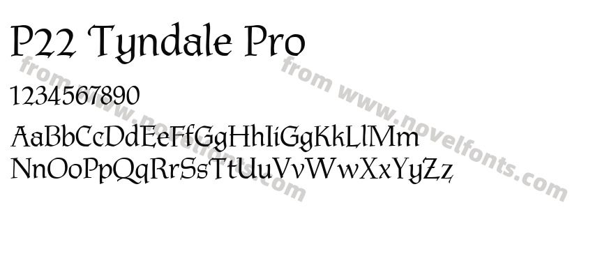 P22 Tyndale ProPreview