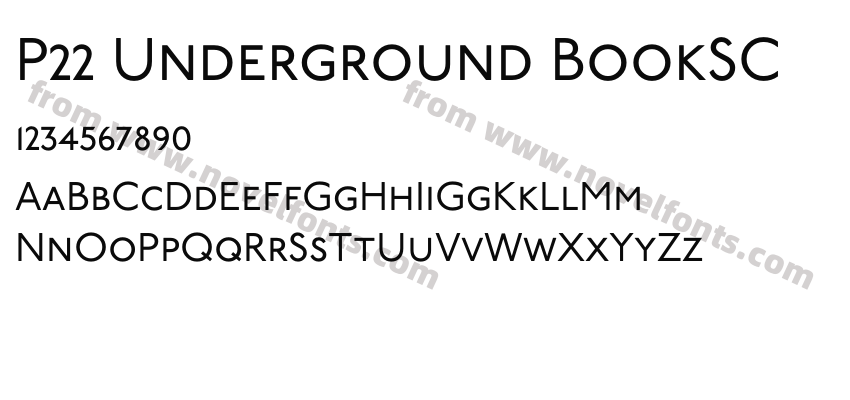P22 Underground BookSCPreview