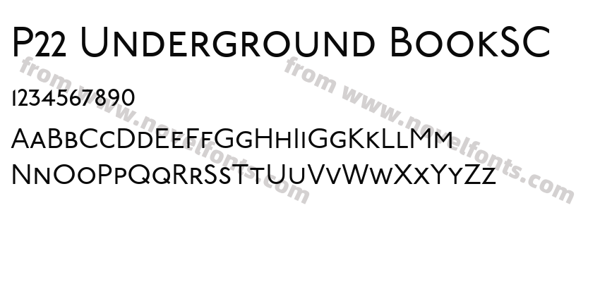 P22 Underground BookSCPreview