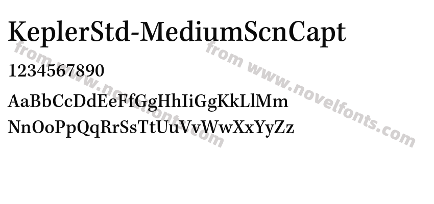 KeplerStd-MediumScnCaptPreview