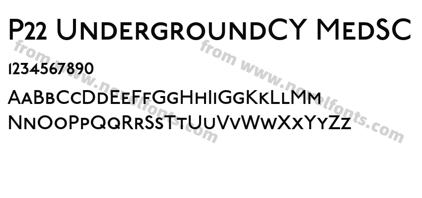P22 UndergroundCY MedSCPreview