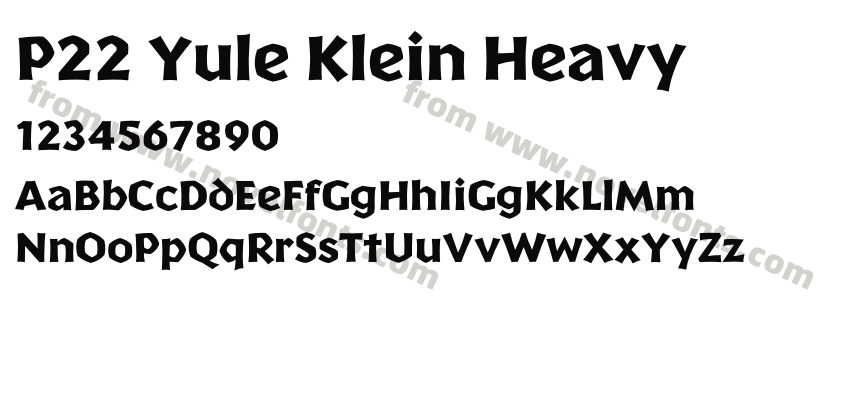 P22 Yule Klein HeavyPreview