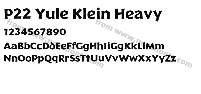 P22 Yule Klein HeavyPreview