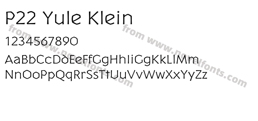 P22 Yule KleinPreview