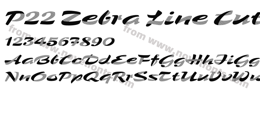 P22 Zebra Line CutPreview
