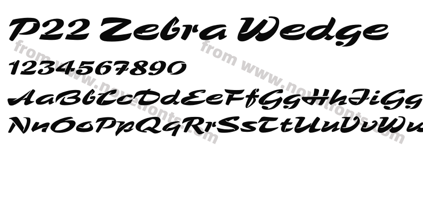 P22 Zebra WedgePreview