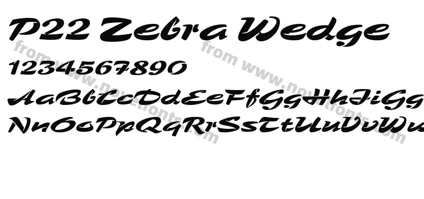 P22 Zebra WedgePreview