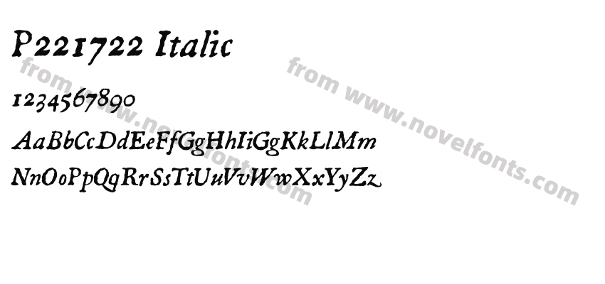 P221722 ItalicPreview