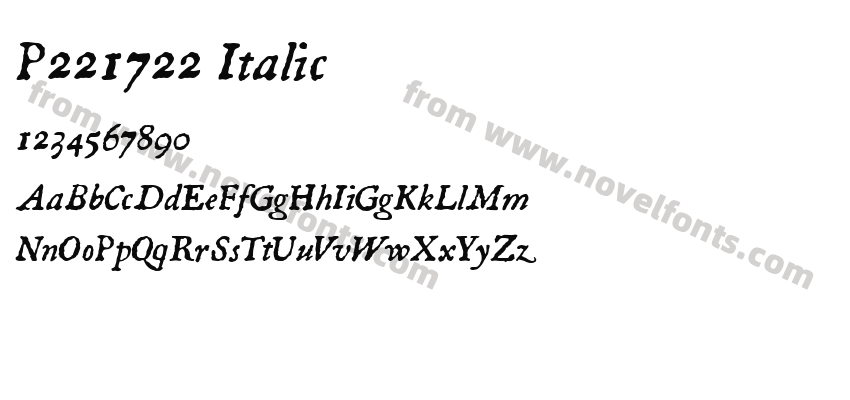 P221722 ItalicPreview