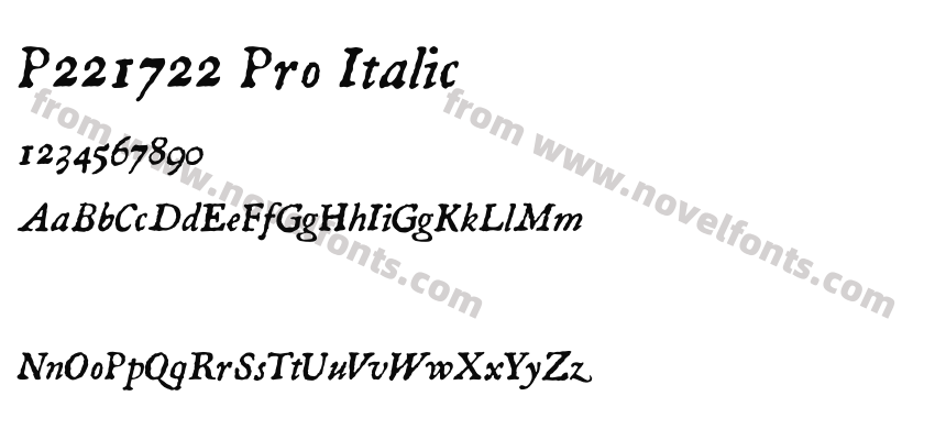 P221722 Pro ItalicPreview