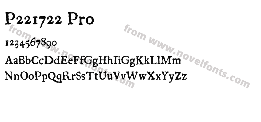 P221722 ProPreview