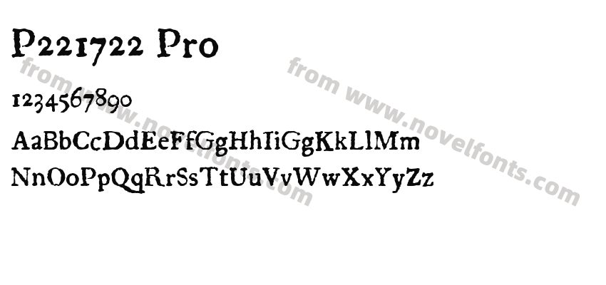 P221722 ProPreview