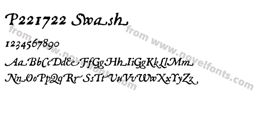 P221722 SwashPreview