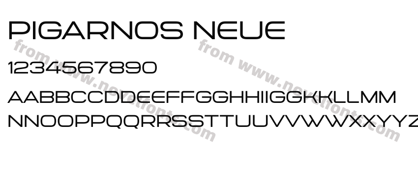 PIGARNOS NEUEPreview