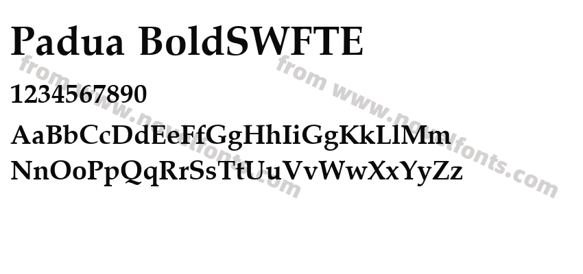 Padua BoldSWFTEPreview