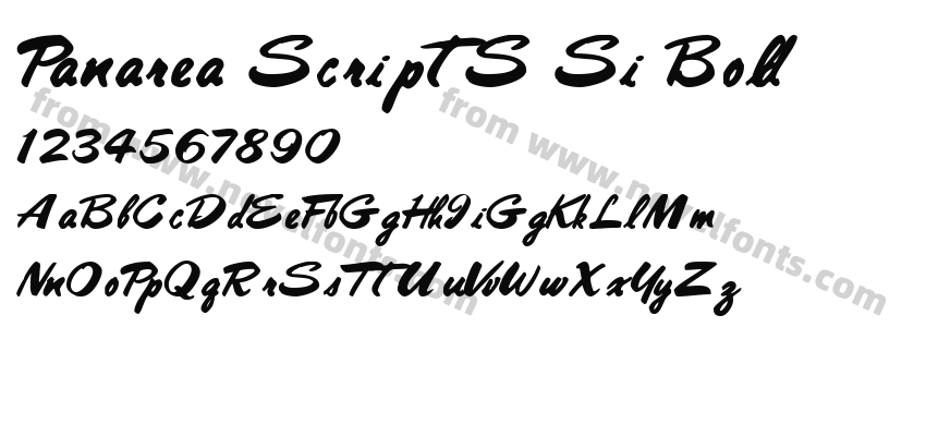 Panarea ScriptS Si BoldPreview