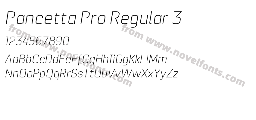 Pancetta Pro Regular 3Preview