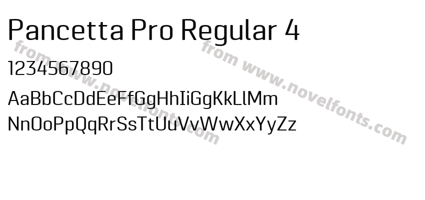 Pancetta Pro Regular 4Preview