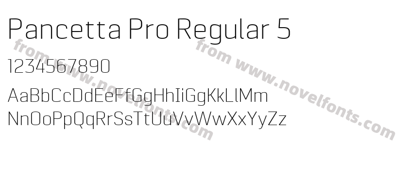 Pancetta Pro Regular 5Preview