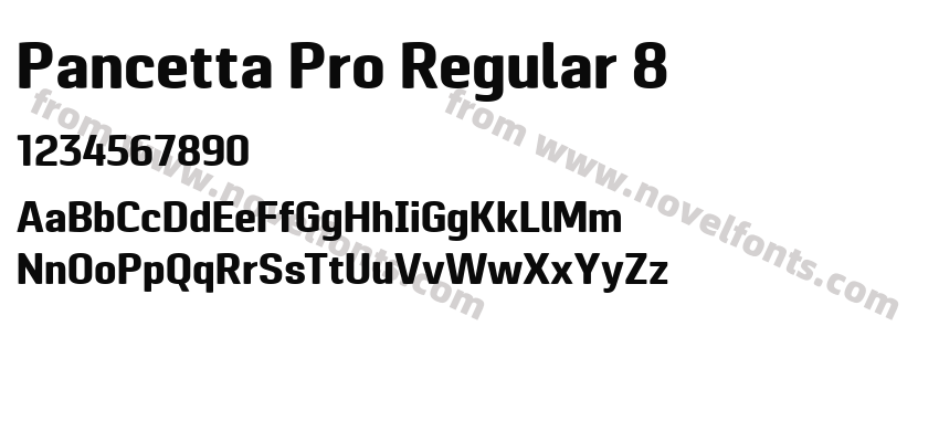 Pancetta Pro Regular 8Preview