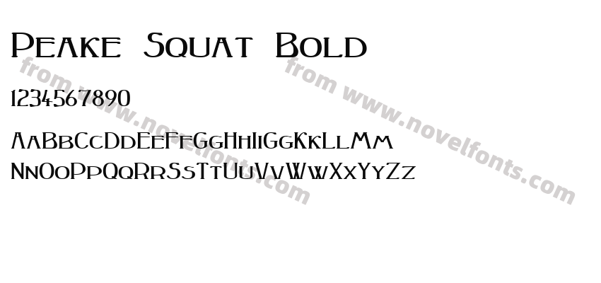 Peake Squat BoldPreview